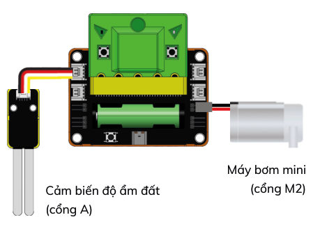 Kết nối bài 4
